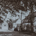 Shillingford