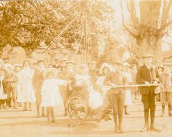 1900 Maypoles