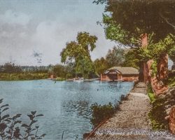 Postcard