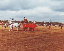 1995 British Ploughing Championship Event