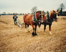 1995 British Ploughing Championship