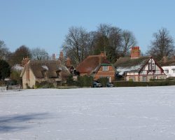 Green in the Snow