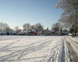 Green in the Snow