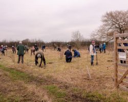 2022 Copse Planting